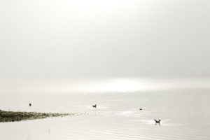 Fotograf in Krailling